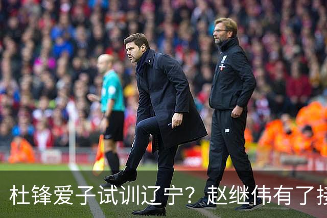 杜锋爱子试训辽宁？赵继伟有了接班人乐坏辽蜜 结果亲妈辟谣了